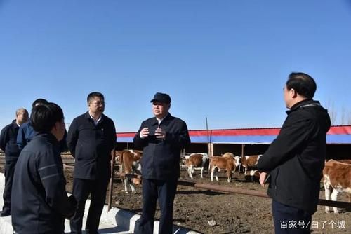 洮北区新增6例境外输入,从涉10省抵宁夏回族自治区石嘴山市/洮北区新闻