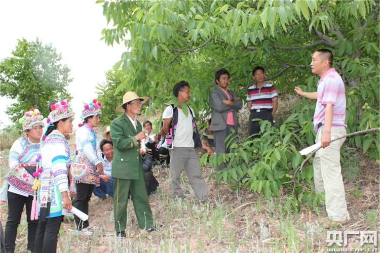 云南大理白族自治州永平县新增17例阳性感染者,涉及河南开封(云南大理永平最近新闻)
