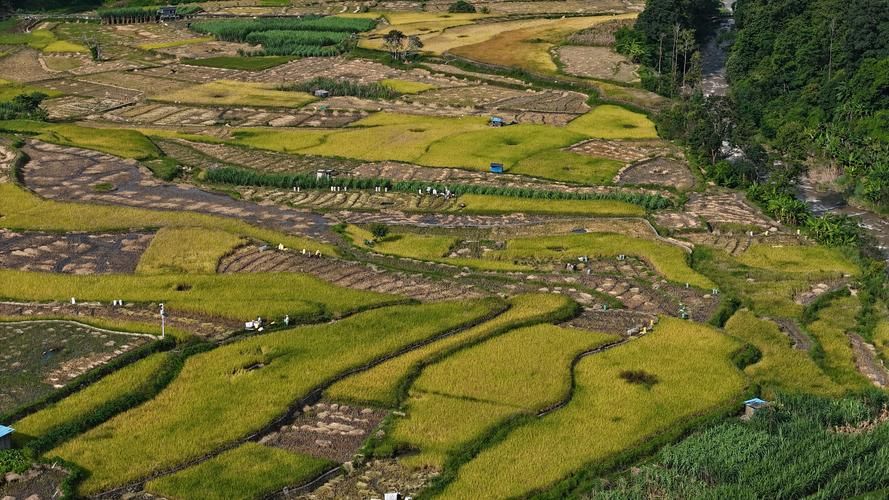 云南红河哈尼族彝族自治州元阳县封城标准最新公布_元阳县情况