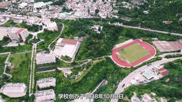 一张图看懂个旧近5天最新通报/个旧最新新闻