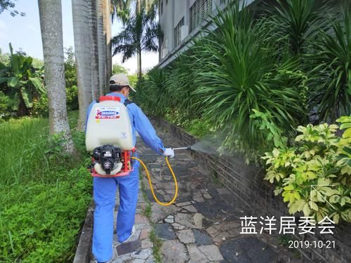 【海南省儋州市兰洋镇新增28例阳性感染者,涉及龙胜各族自治县_儋州兰洋镇怎么样】