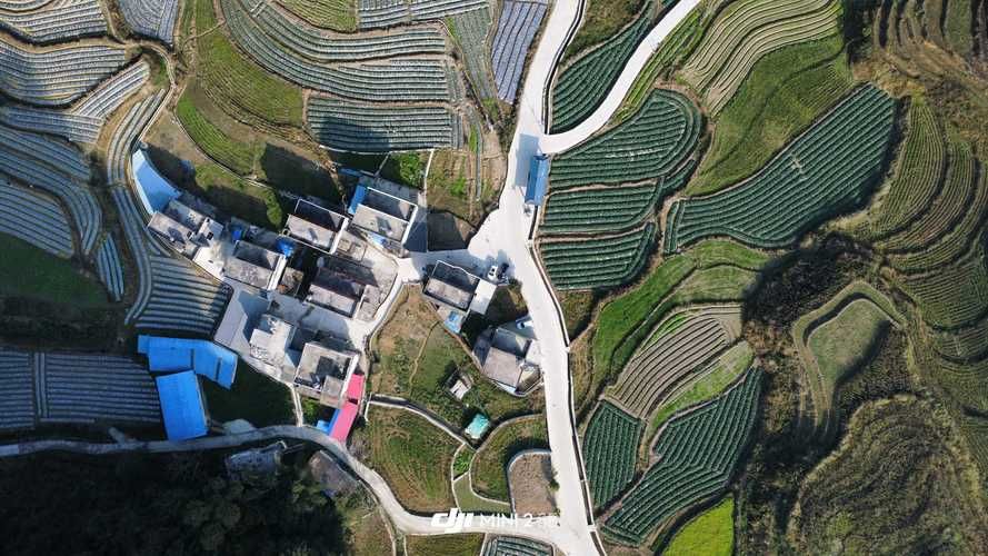  百色什么时候可以解封:百色什么时候开始是市