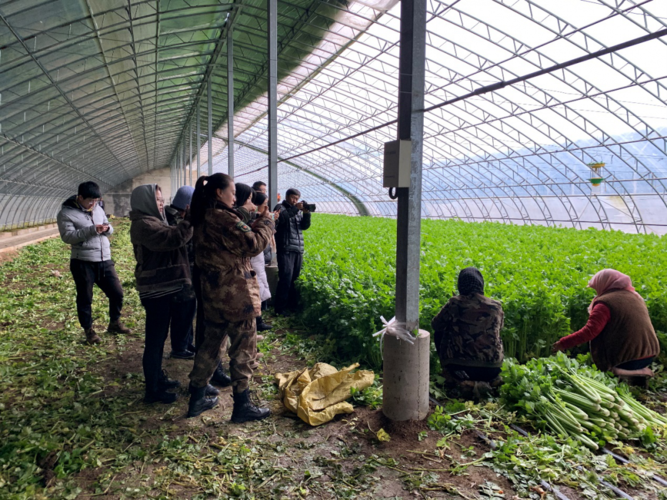 宁夏回族自治区固原西吉县首例重症来源公布(宁夏西吉最新新闻)