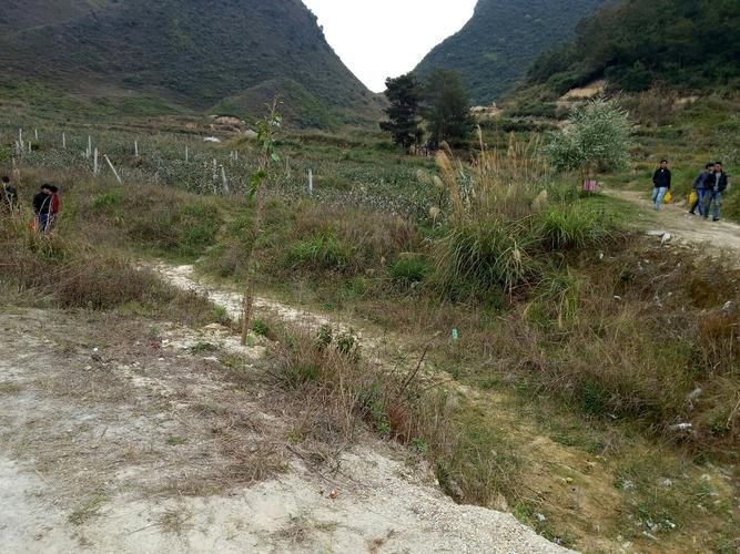  广西壮族自治区崇左天等县今日无新增阳性感染者:未来15天崇左天等天气预报
