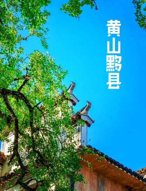 安徽黄山黟县新增6例本土确诊,从境外抵高昌区/黄山黟县最近的新闻