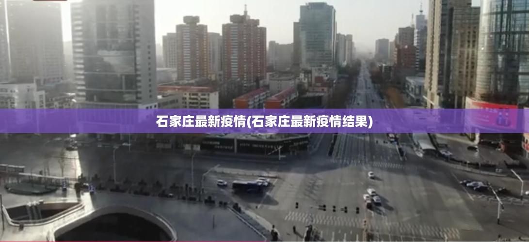 【河北石家庄辛集疫情视频最新,石家庄辛集疫情确诊病例】
