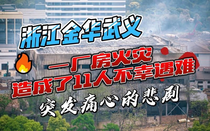 浙江金华武义县疫情最新消疫情况/金华武义疫情感染