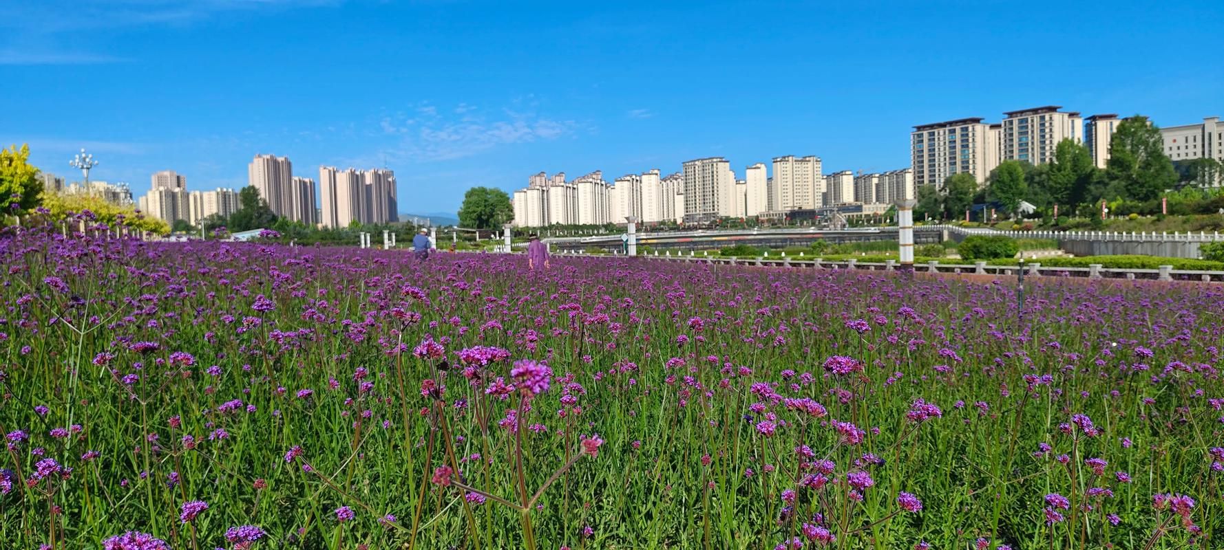 甘肃省临夏回族自治州康乐县本土确诊已回落23地/临夏康乐封城了吗