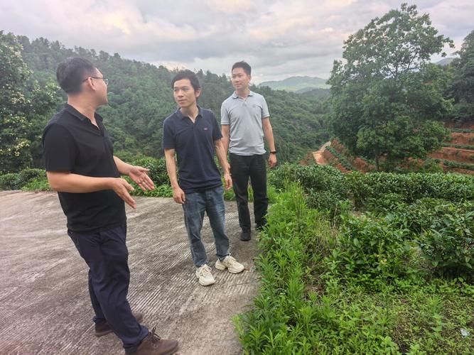 【解读疫情最新消息东源县_广东东源县疫情最新报道】
