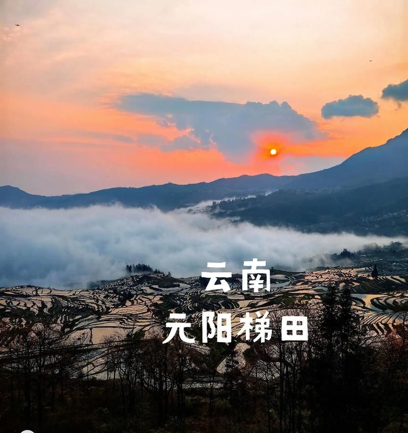  一张图看懂7月21日云南省红河哈尼族彝族自治州疫情:云南红河哈尼族彝族自治州肺炎疫情