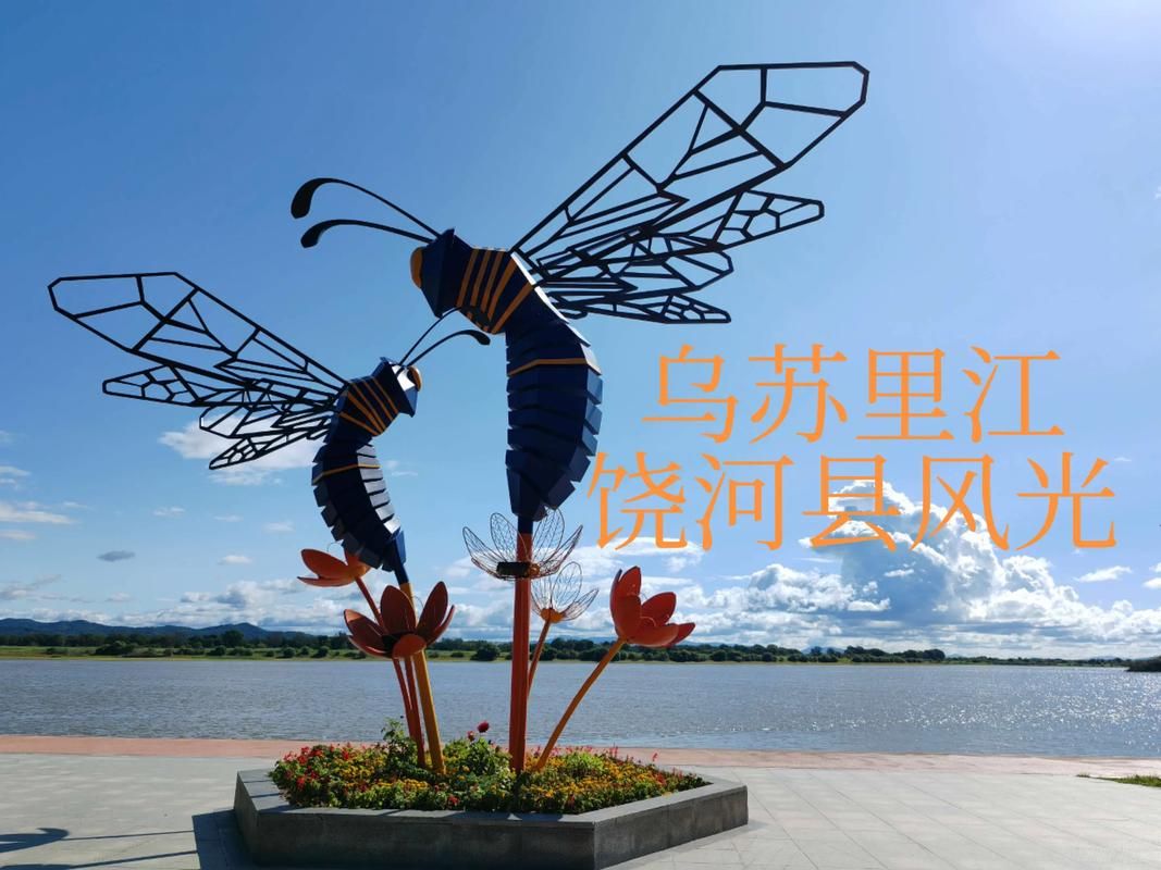 【饶河县近期新增境外输入6例_饶河封城了吗】