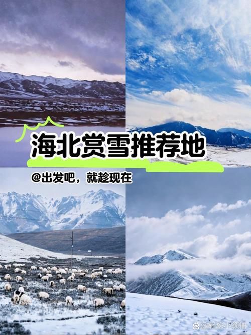 海北藏族自治州近期无新增本土确诊:海北藏自治州属于哪个省