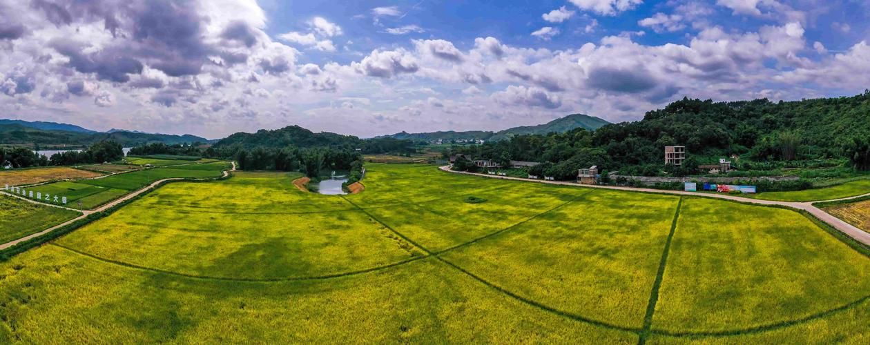 广西壮族自治区南宁市青秀区几个地区有疫情发生/南宁青秀区慨况