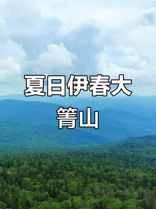 【为何新增疫情黑龙江省伊春市大箐山县,伊春大箐山好玩吗值得去吗】