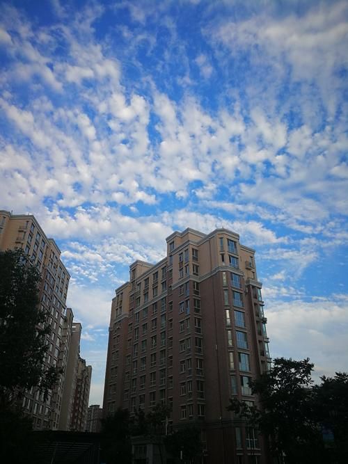 【黑龙江牡丹江东安区7月21日最新消息疫情_月经期喝冰的会怎样】