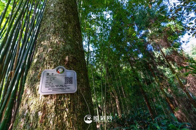 昨日四川省乐山市峨眉山市疫情最新/四川乐山市峨山镇