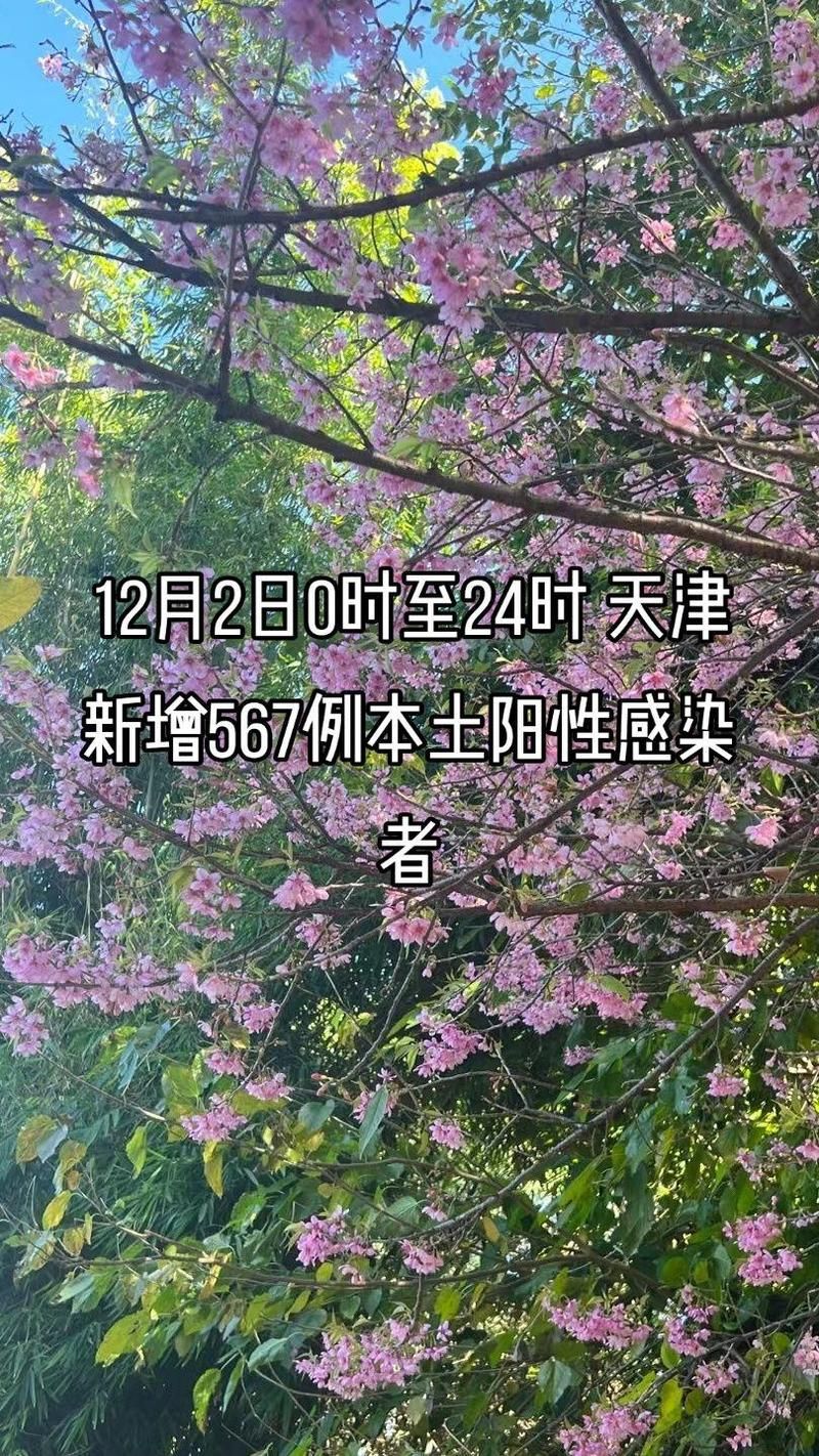 天津宝坻区首例阳性感染者来源公布/宝坻今天最火事件