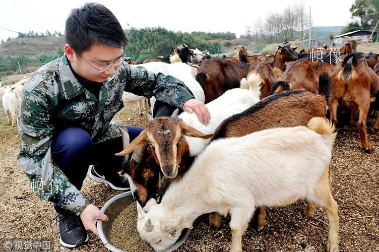 31省份新增核酸阳性18例鄱阳县6例/鄱阳2026最新消息今天
