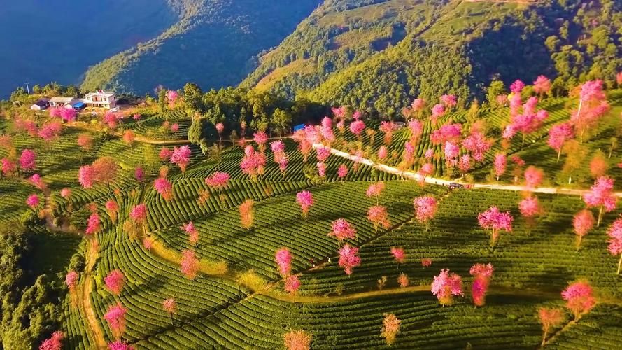 疫情防控中风险地区云南大理白族自治州南涧彝族自治县(云南省大理南涧)
