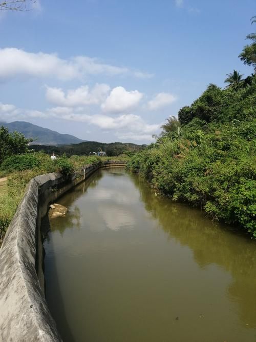 解读五指山市疫情最新消息(解读五指山市疫情最新消息视频)