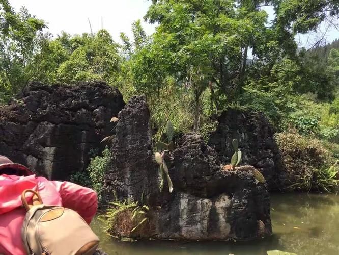 专家:贵州安顺镇宁布依族苗族自治县每年或现多个感染高峰/安顺镇宁新闻最新事件