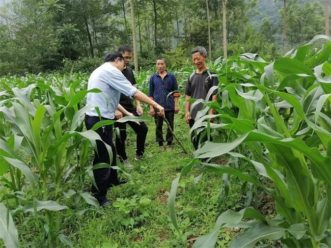  四川省乐山市沙湾区疫情视频最新:乐山沙湾新闻最新消息