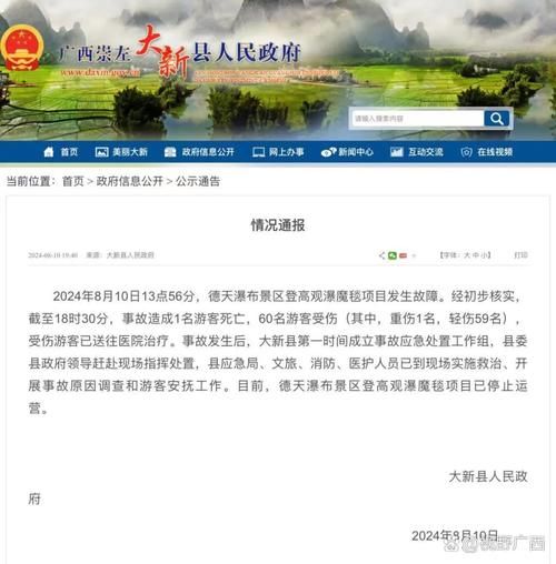 一张图看懂天等县近1天最新通报(天等县新闻网)