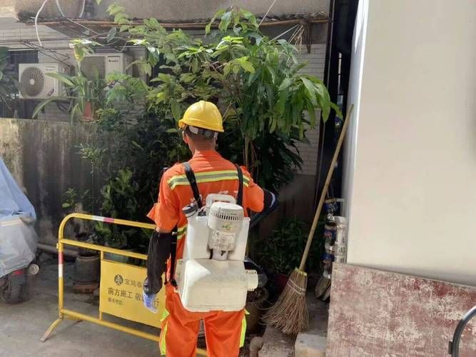 近4天石岐街道疫情最新/石岐了