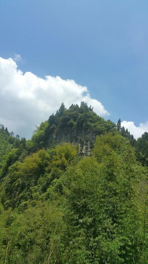 南川区近3天无新增本土确诊_南川区15天预报最新消息