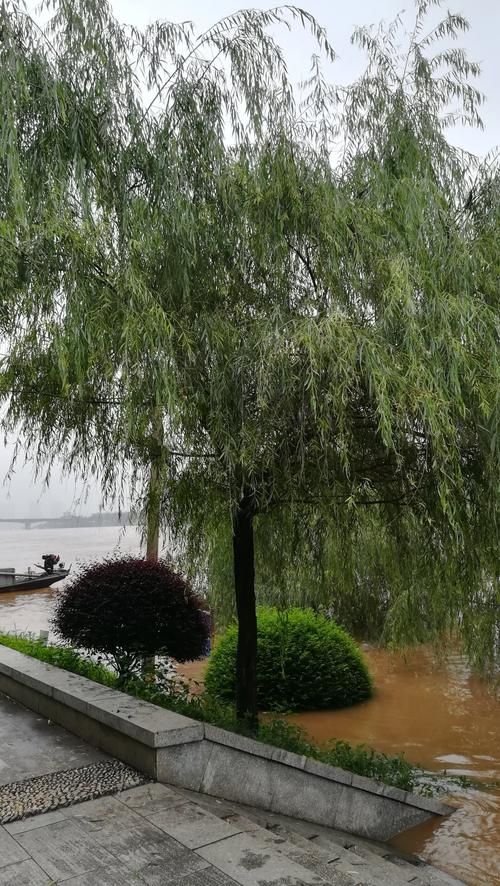 【湖南省衡阳市雁峰区疫情最新情报_湖南省衡阳市雁峰区天气预报】