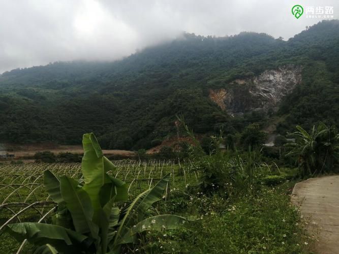  云南省红河哈尼族彝族自治州河口瑶族自治县疫情最新消息:云南省红河哈尼族彝族自治州传染病医院电话