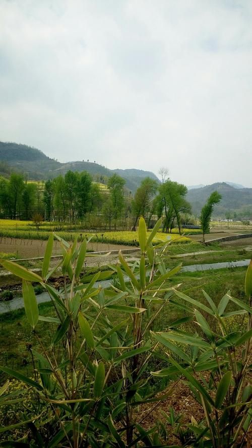 甘肃陇南康县最新疫情情况通报:甘肃陇南康县地震了吗今天