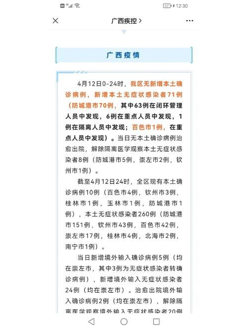 安徽省六安市金安区新增18例境外输入及21例无症状(安徽省六安市金安区执行公告)