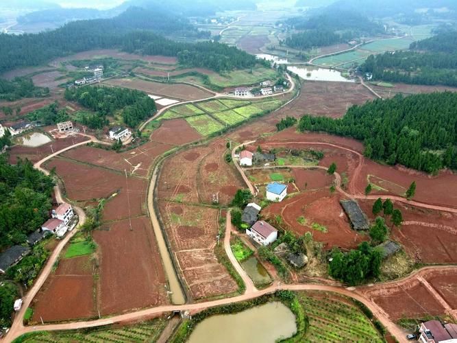【船山区最新疫情关注_船山区最近会有大雾预警吗】