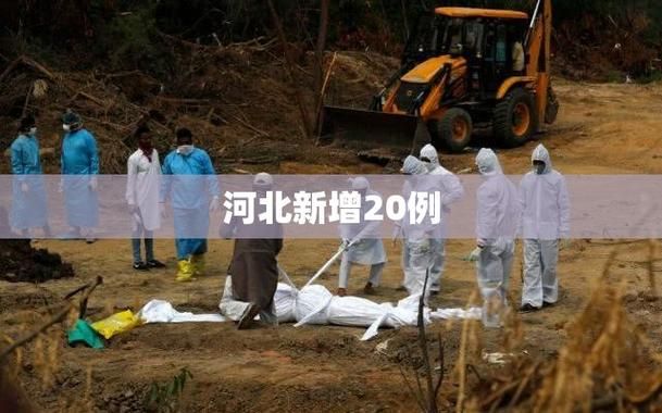 【8地新增21例确诊其中本土20例_31省区市新增62例本土确】