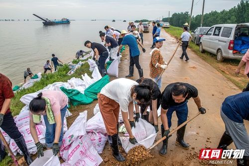 昨日湖南岳阳岳阳屈原管理区疫情最新_湖南岳阳屈原管理区副书记