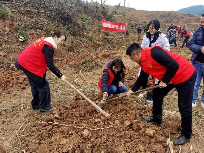 四川自贡富顺县近1天无新增本土确诊/自贡富顺县人民医院康复科预约挂号