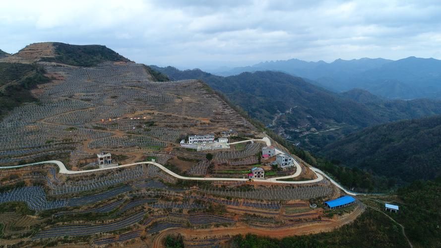  贵州黔南布依族苗族自治州罗甸县疫情最新情报:贵州黔南罗甸县图片