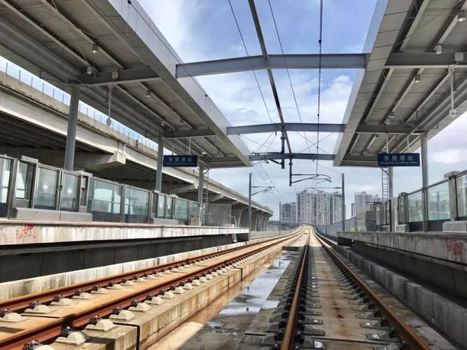 东莞港发现1名密接者!:东莞1杀3最终判决
